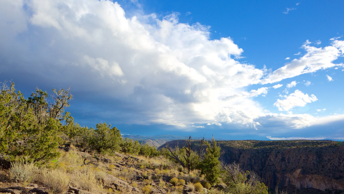 Top or Best App UI/UX Design Agencies and Companies in Los Alamos, New Mexico