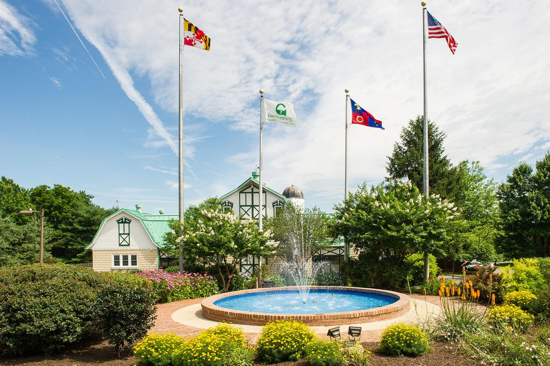 Top or Best Business Card Design Agencies and Companies in Gaithersburg, Maryland