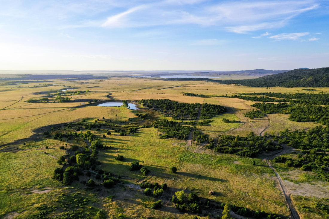 Top or Best Banner Ads Agencies and Companies in Las Vegas, New Mexico