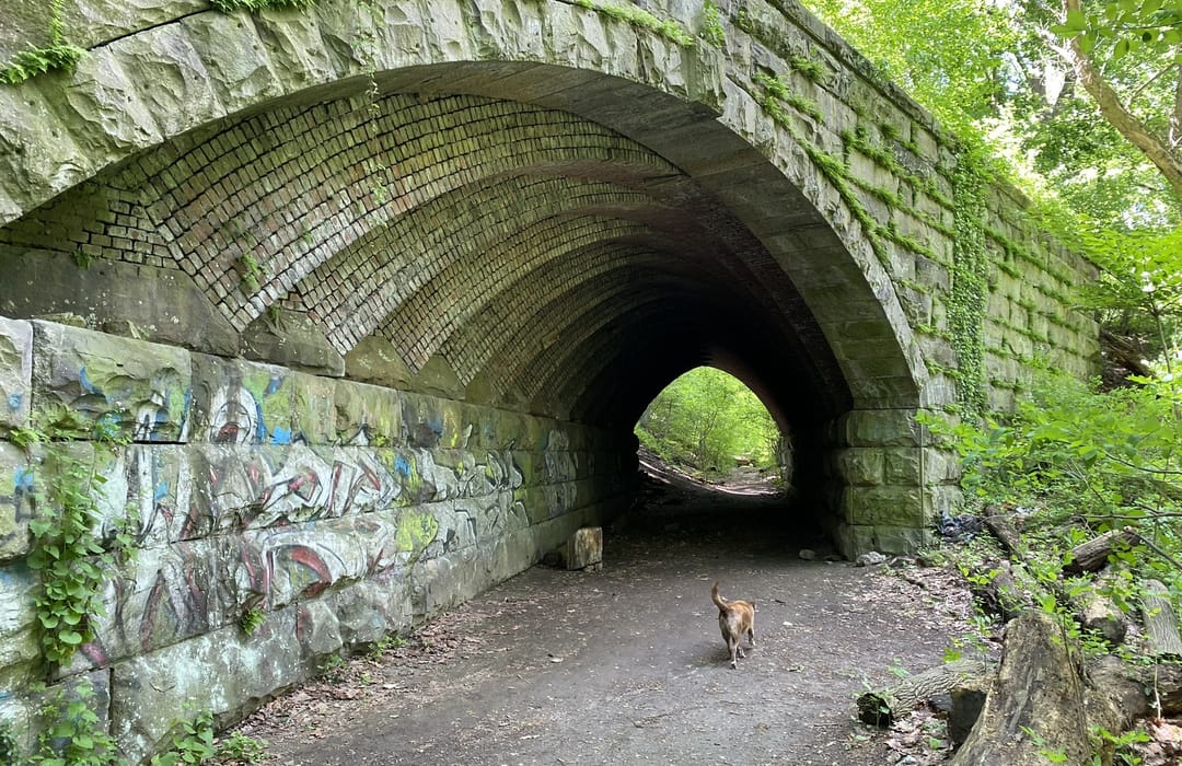 Top or Best Social Media Design Agencies and Companies in Upper Darby, Pennsylvania