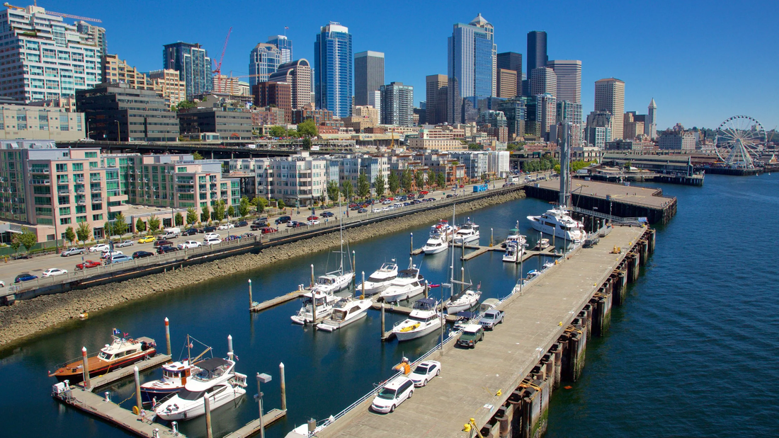 Top or Best Drawing & Illustration Agencies and Companies in Seattle, Washington