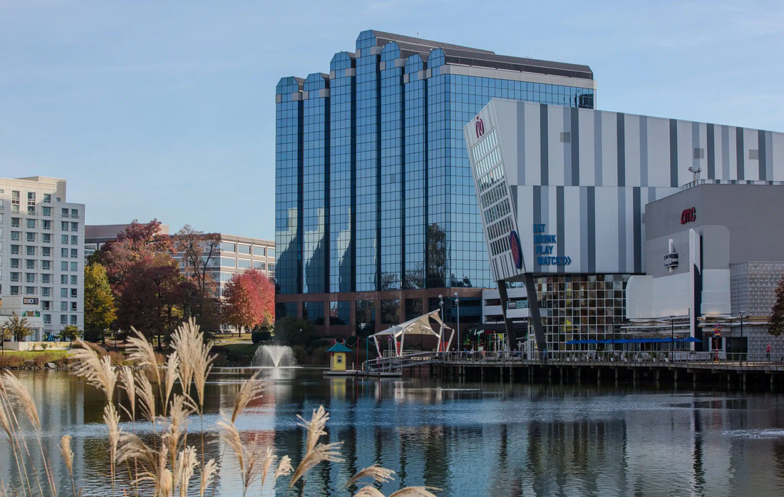 Top or Best Storyboards Agencies and Companies in Gaithersburg, Maryland