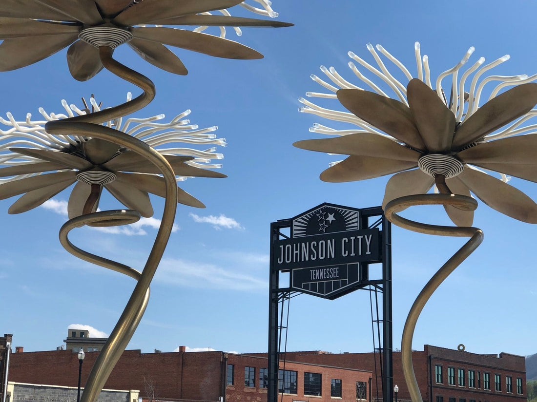 Top or Best Infographic Design Agencies and Companies in Johnson City, Tennessee