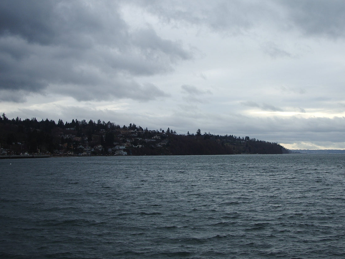 Top or Best Graphics for Streamers Agencies and Companies in Federal Way, Washington