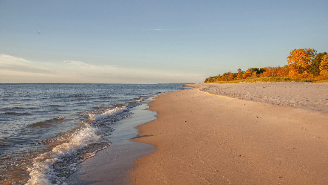 Top or Best Mural Design Agencies and Companies in Westland, Michigan