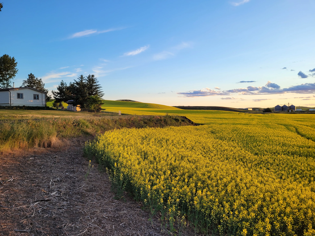 Top or Best Poster Design Agencies and Companies in Lewiston, Idaho