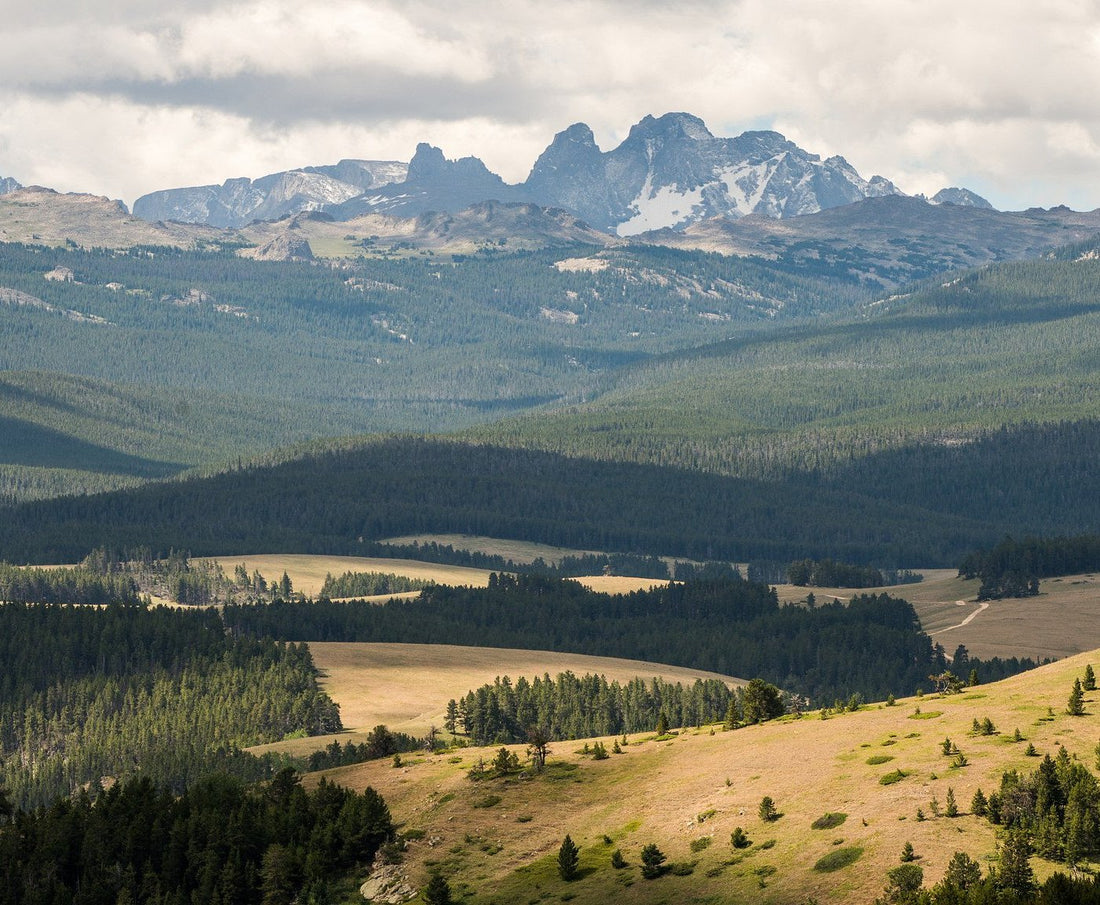 Top or Best Business Card Design Agencies and Companies in Sheridan, Wyoming