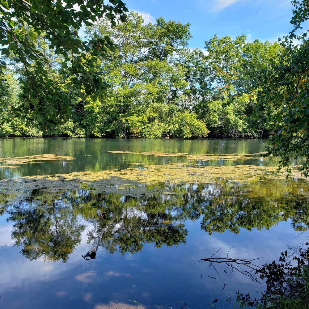 Top or Best YouTube Management Agencies and Companies in Bensalem, Pennsylvania