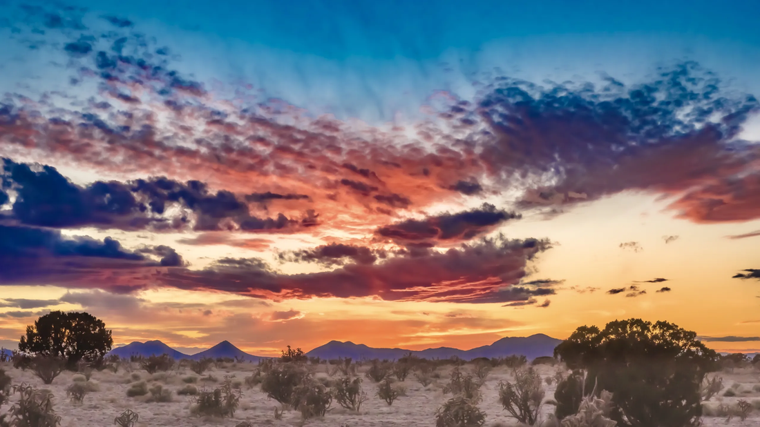 Top or Best NFT Art Agencies and Companies in Chaparral, New Mexico