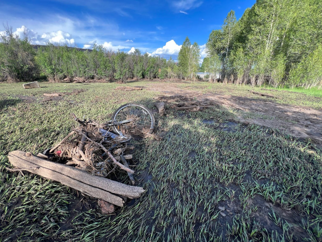 Top or Best App UI/UX Design Agencies and Companies in Las Vegas, New Mexico