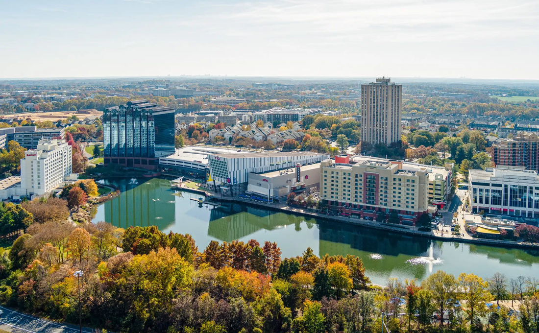 Top or Best Animation and Motion Graphics Agencies and Companies in Frederick, Maryland