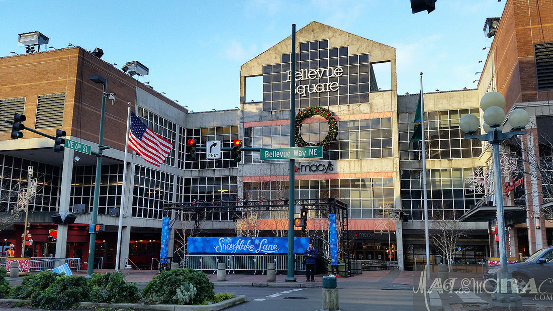 Top or Best TikTok Management Agencies and Companies in Bellevue Washington