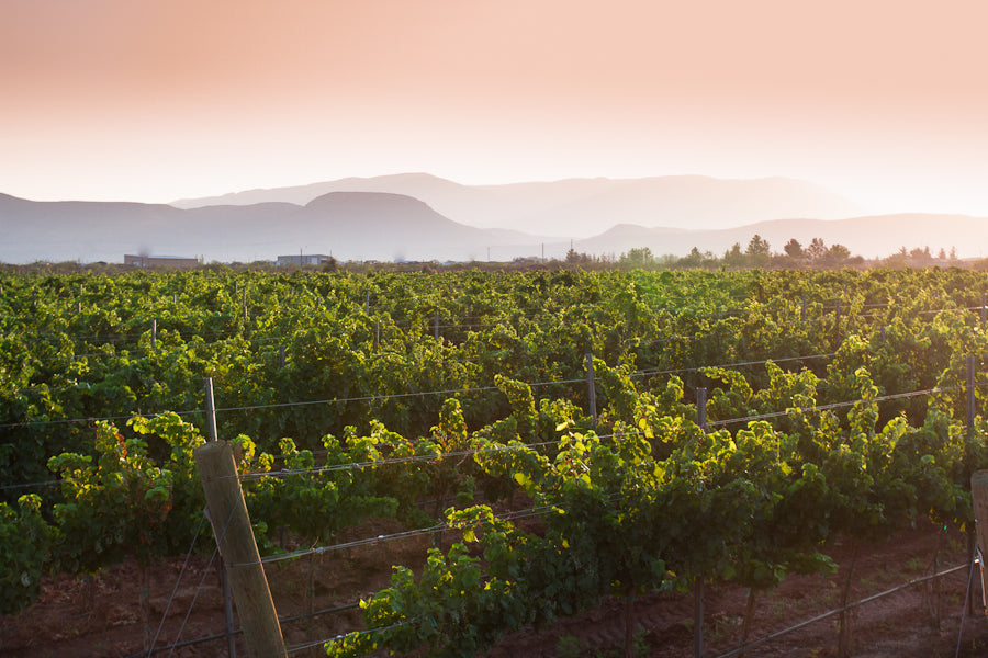 Top or Best Animation & Motion Graphics Agencies and Companies in Deming, New Mexico