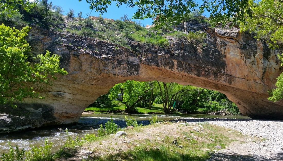 Top or Best Logo Animation Agencies and Companies in Douglas Wyoming