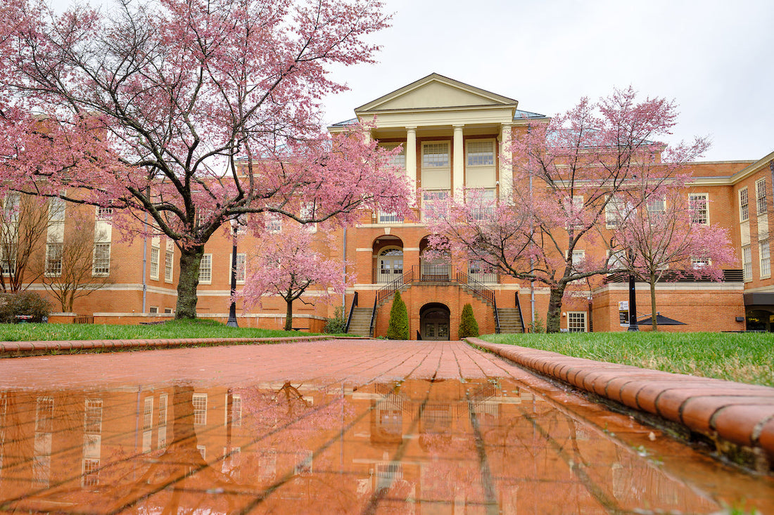 Top or Best Direct Mail Design Agencies and Companies in Wake Forest, North Carolina