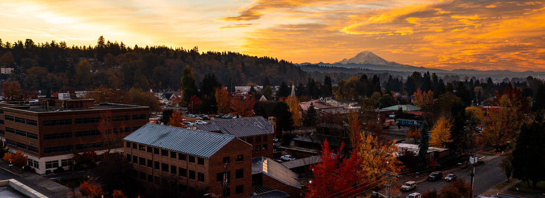 Top or Best Twitter Management Agencies and Companies in Kent Washington