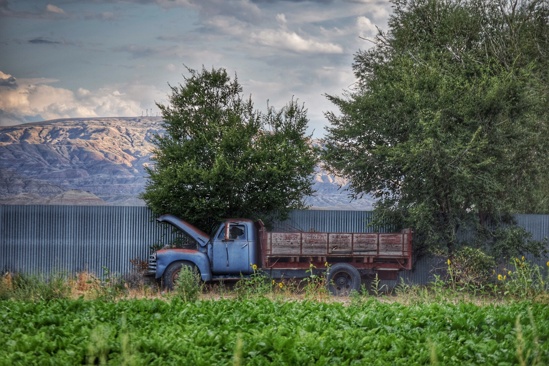 Top or Best Storyboards Agencies and Companies in Powell, Wyoming