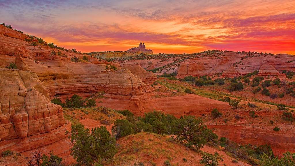 Top or Best Graphic Design Subscription Agencies and Companies in Gallup, New Mexico