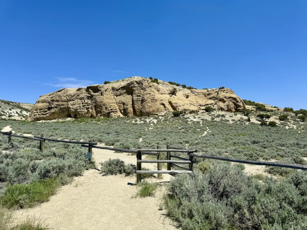 Top or Best Twitter Management Agencies and Companies in Rock Springs Wyoming