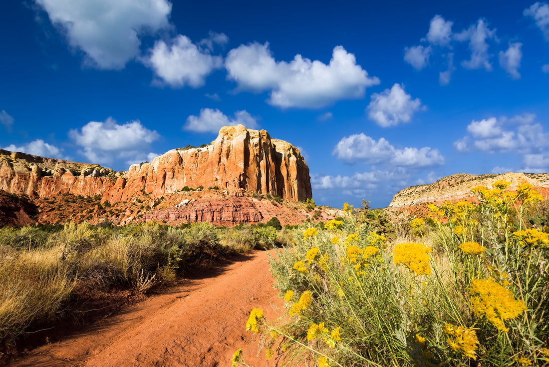 Top or Best Web & Mobile Design Agencies and Companies in Portales, New Mexico