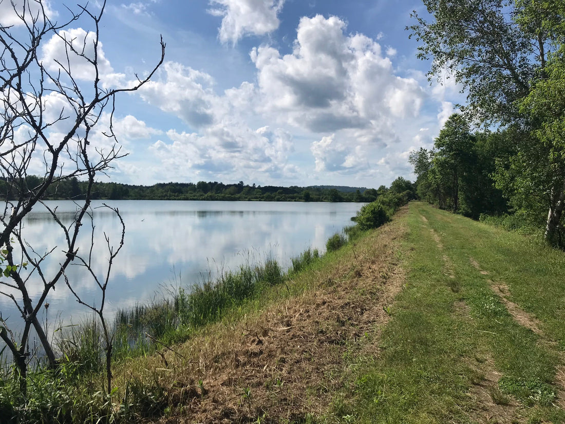 Top or Best Graphics for Streamers Agencies and Companies in Rochester, New Hampshire