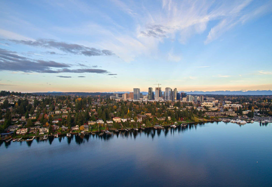 Top or Best Banner Ads Agencies and Companies in Bellevue Washington