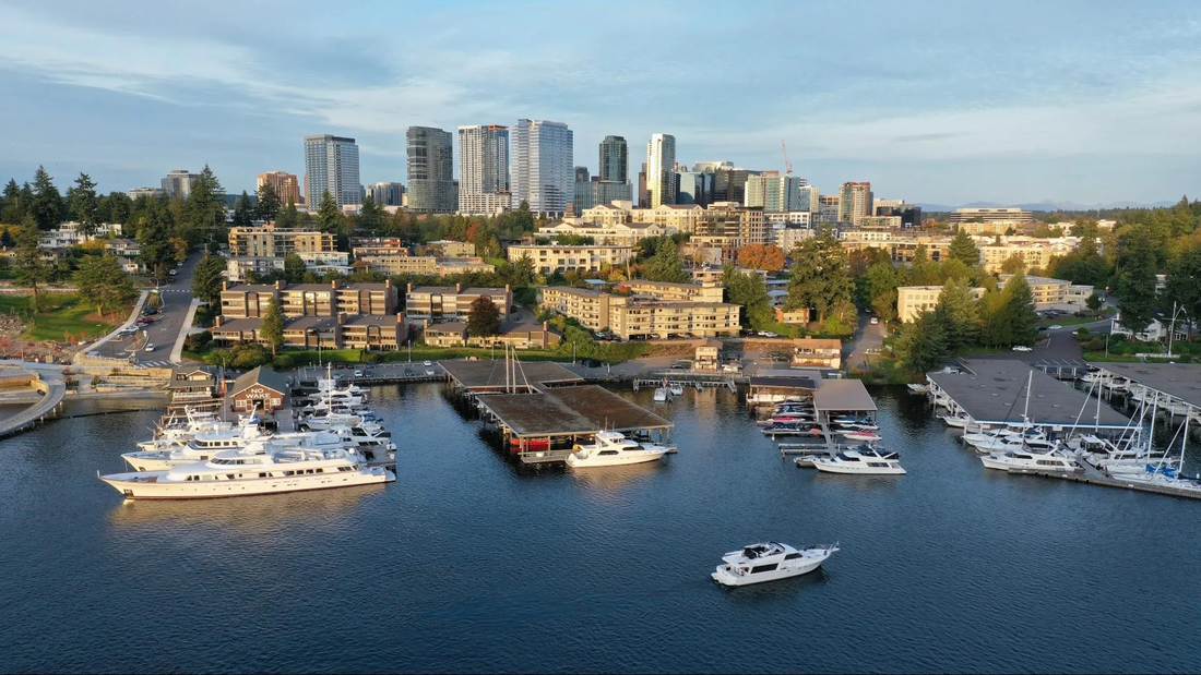 Top or Best Facebook Management Agencies and Companies in Bellevue Washington