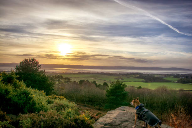 Top or Best Video Editing Agencies and Companies in Wirral, England