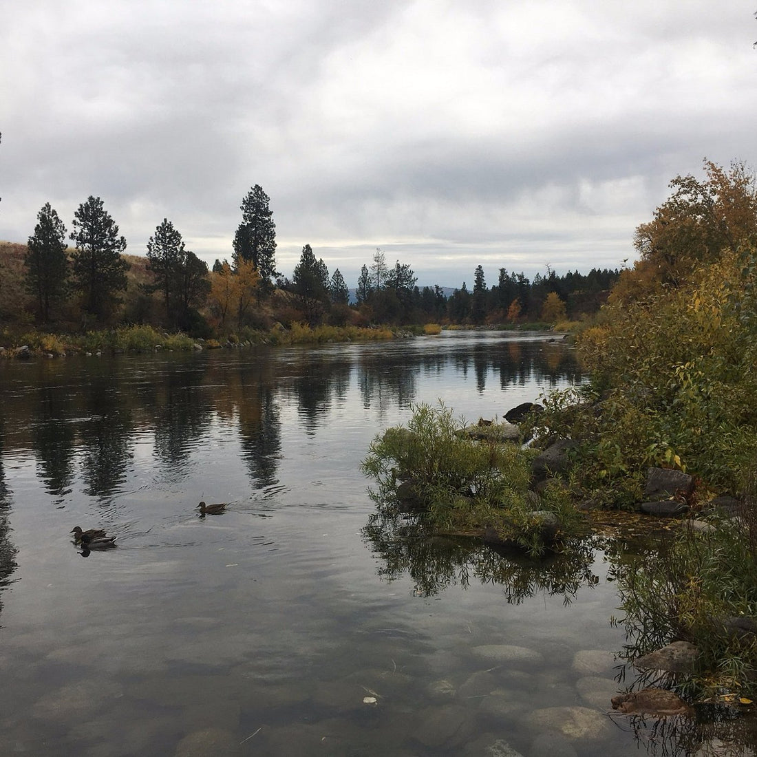 Top or Best Email Campaign Design Agencies and Companies in Spokane Valley, Washington