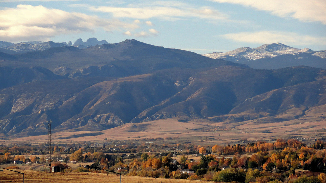 Top or Best Logo Design Agencies and Companies in Sheridan, Wyoming