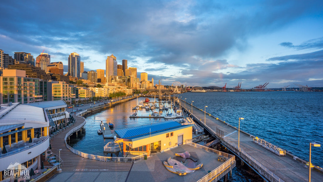 Top or Best NFT Art Agencies and Companies in Seattle, Washington