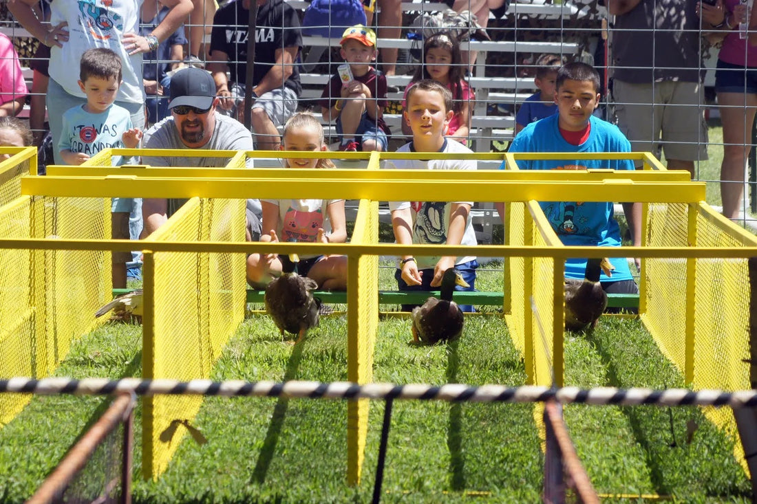 Top or Best LinkedIn Management Agencies and Companies in Deming, New Mexico