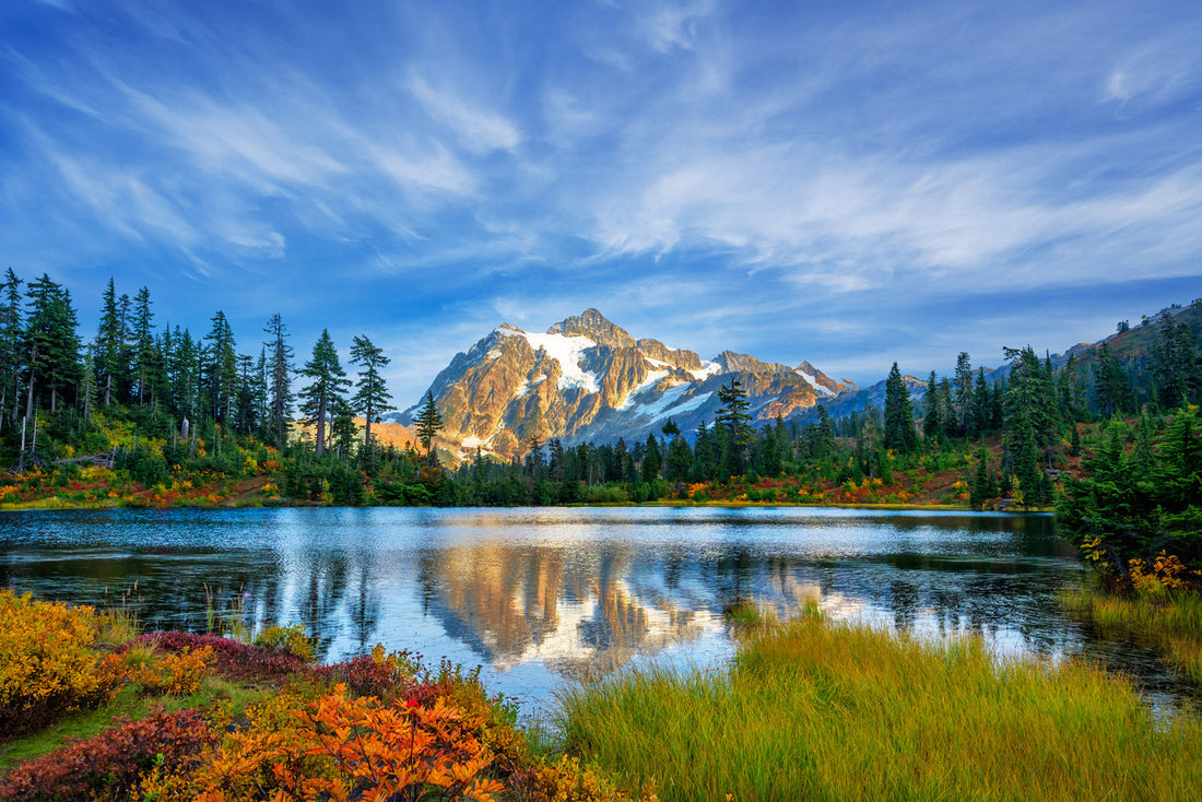 Top or Best Direct Mail Design Agencies and Companies in Seattle, Washington