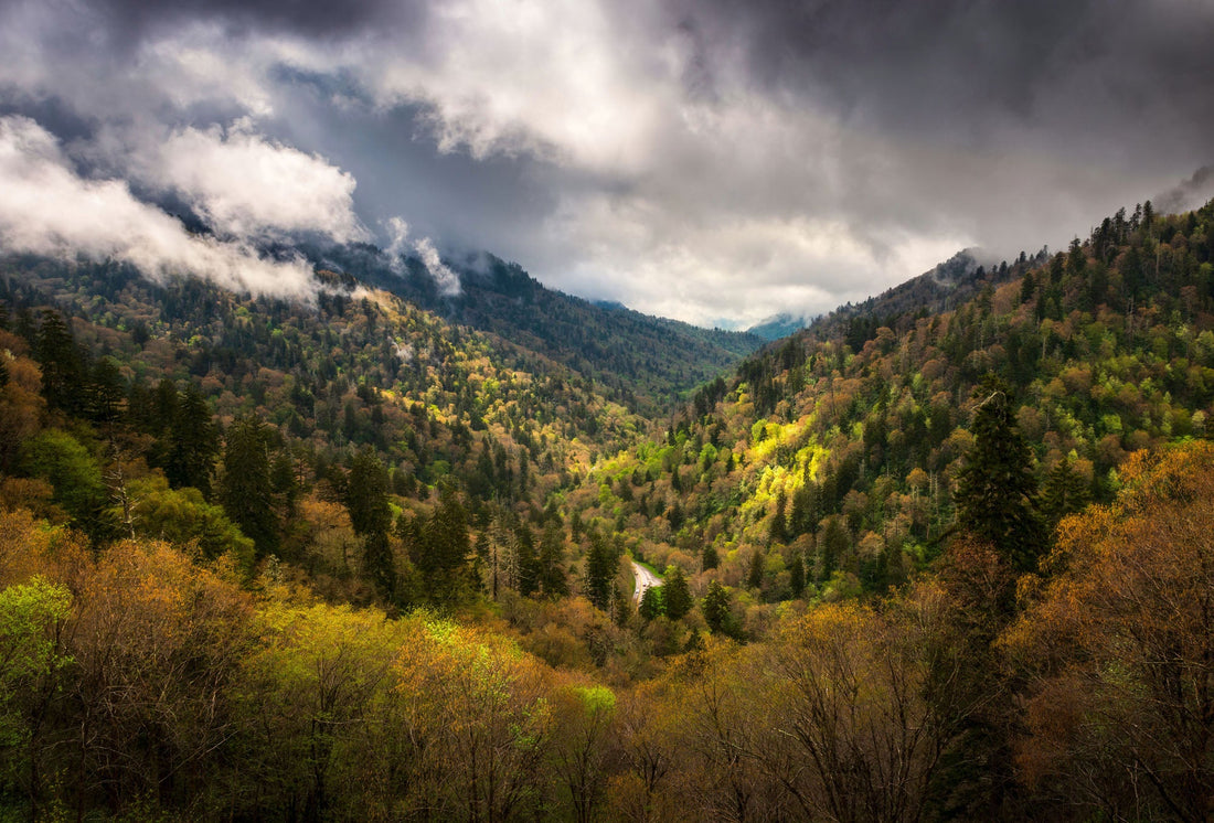 Top or Best Graphics for Streamers Agencies and Companies in Jackson, Tennessee