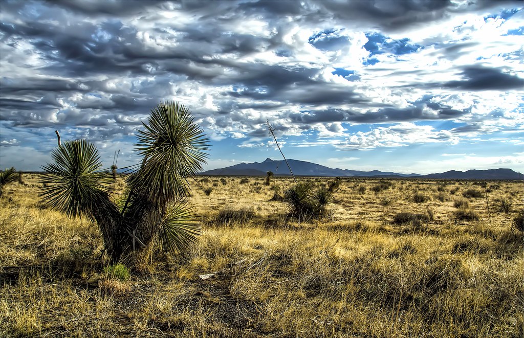 Top or Best Social Media Management Agencies and Companies in Deming, New Mexico