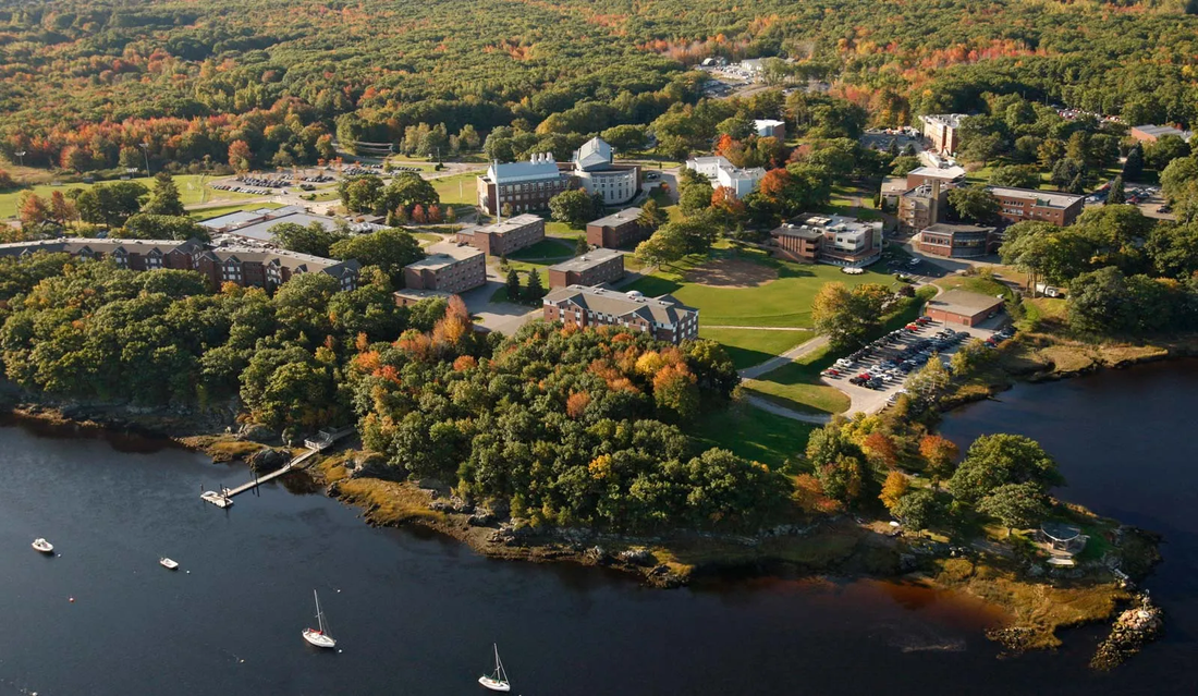Top or Best NFT Art Agencies and Companies in Biddeford, Maine
