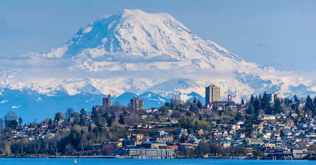 Top or Best Banner Ads Agencies and Companies in Tacoma, Washington