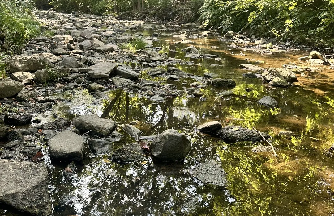 Top or Best Website Design Agencies and Companies in Upper Darby, Pennsylvania