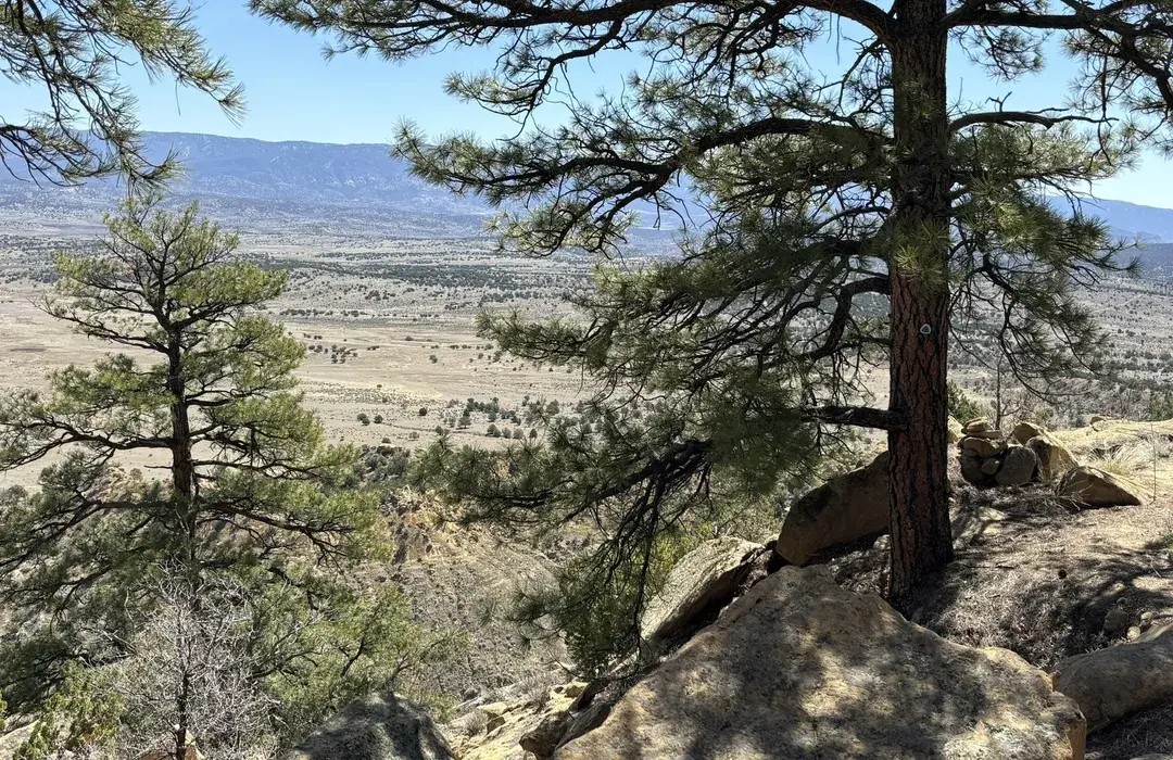 Top or Best Invitation Design Agencies and Companies in Portales, New Mexico