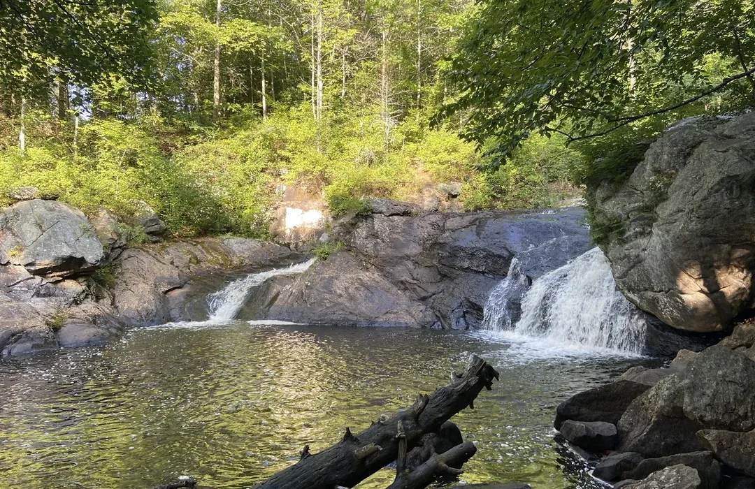 Top or Best Flyer Design Agencies and Companies in Rochester, New Hampshire