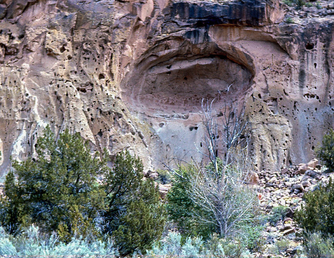 Top or Best YouTube Management Agencies and Companies in Los Alamos, New Mexico