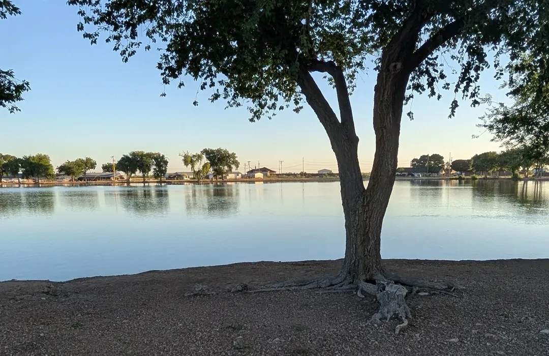 Top or Best Graphics for Streamers Agencies and Companies in Portales, New Mexico