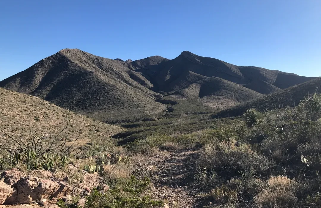 Top or Best Stationery Design Agencies and Companies in Chaparral, New Mexico