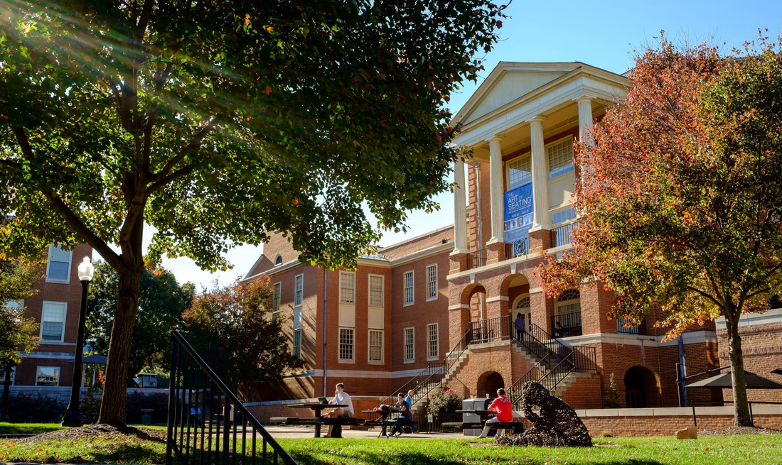 Top or Best Mural Design Agencies and Companies in Wake Forest, North Carolina