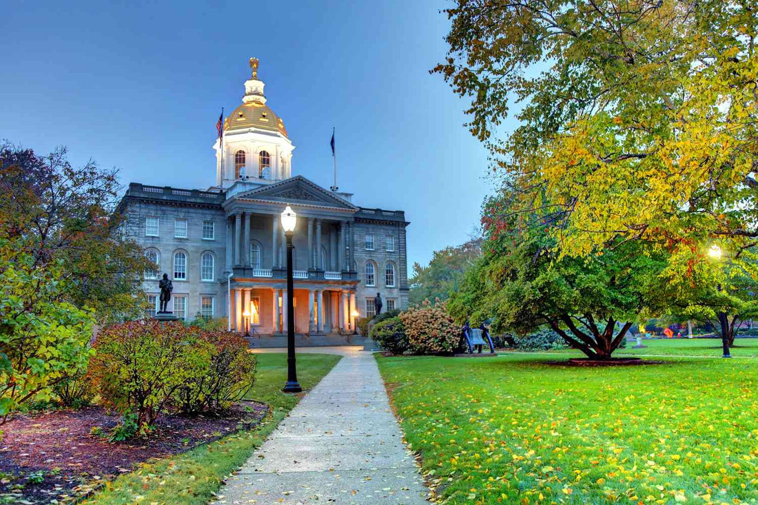 Top or Best NFT Art Agencies and Companies in Concord, New Hampshire
