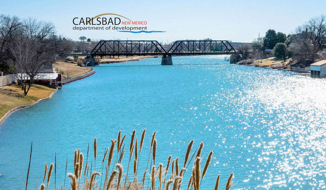 Top or Best LinkedIn Management Agencies and Companies in Carlsbad, New Mexico
