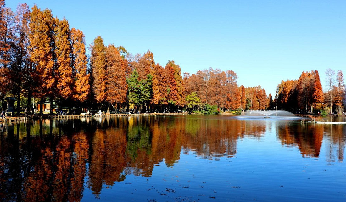 Top or Best AR Filters & Lenses Agencies and Companies in Saitama, Japan