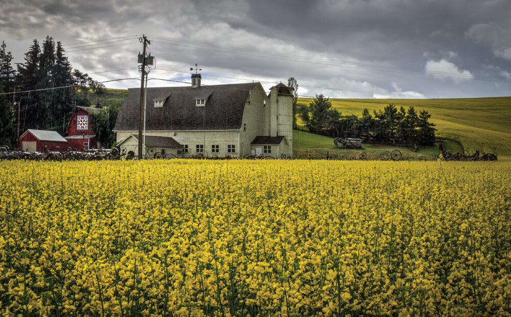 Top or Best Catalog Design Agencies and Companies in Lewiston, Idaho