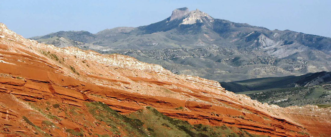 Top or Best Twitch Management Agencies and Companies in Powell, Wyoming