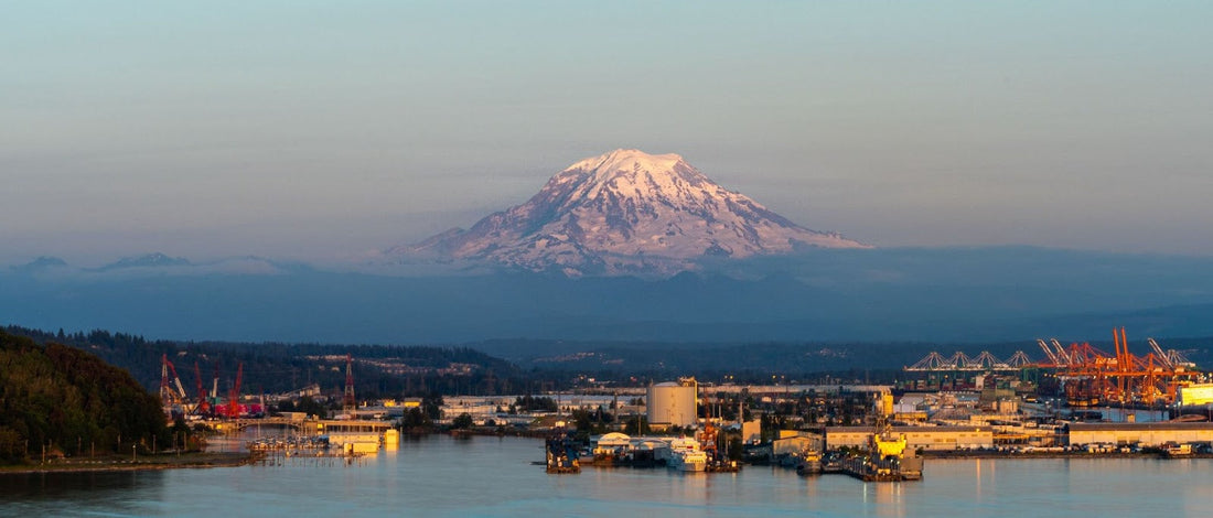 Top or Best YouTube Management Agencies and Companies in Tacoma, Washington